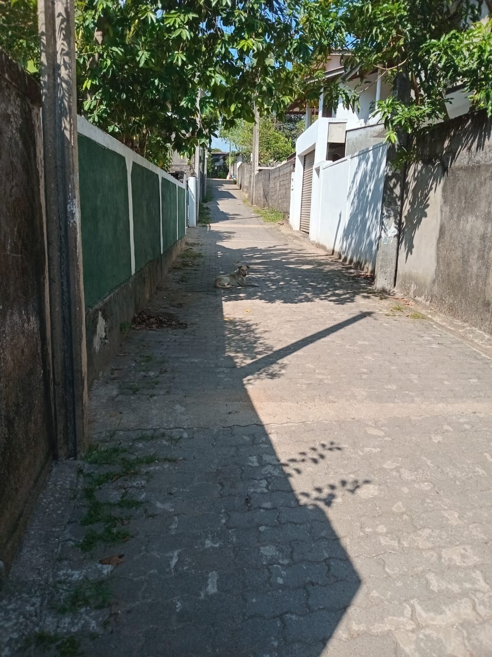 House for Sale in Makola