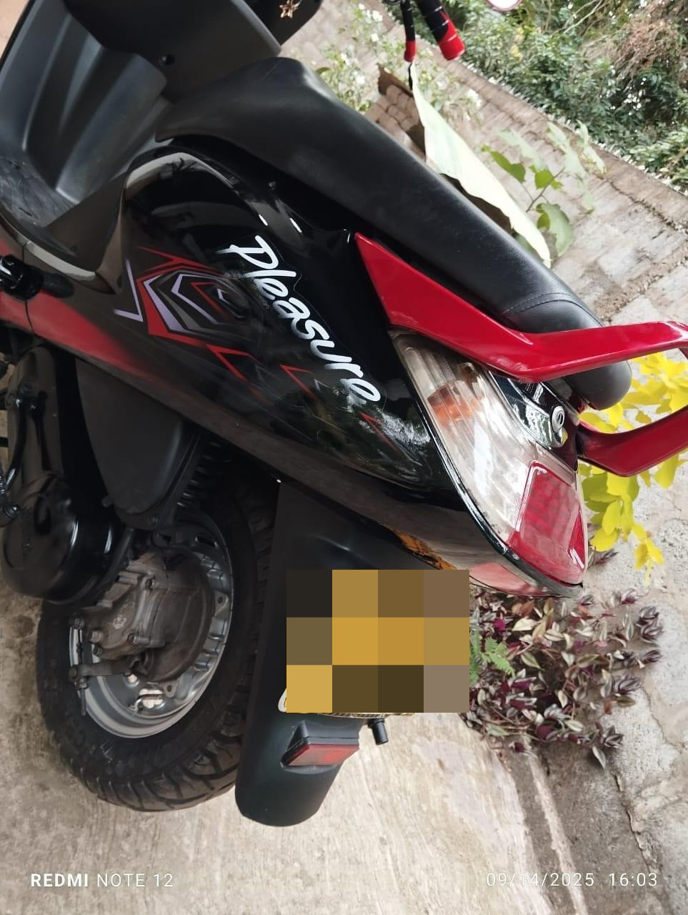 Hero Honda Pleasure 2011 - Used Bike sale in Sri Lanka - patpat.lk