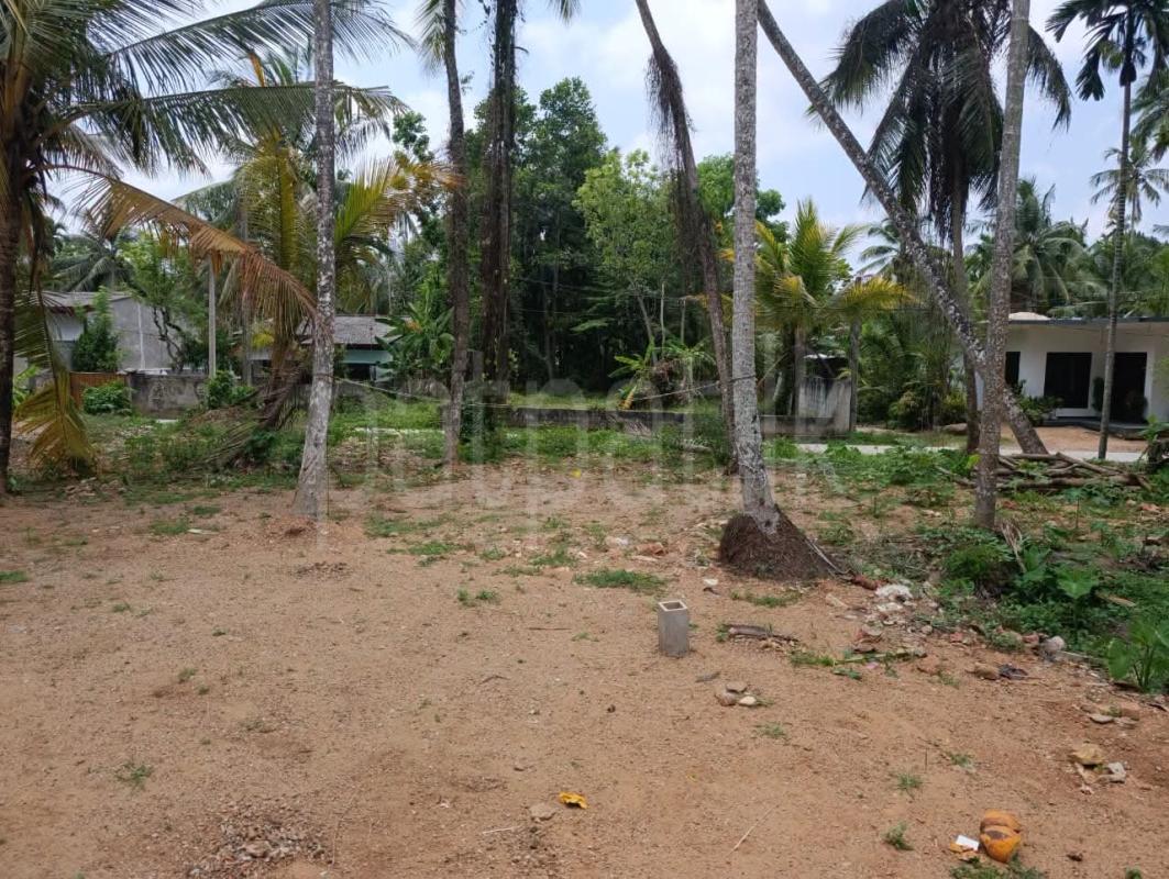 Commercial Land for Sale in Ragama