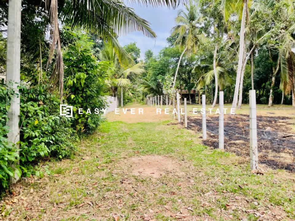 Residential Land for Sale in Minuwangoda