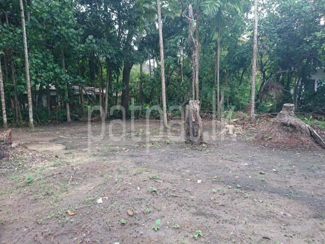 Commercial Land for Sale in Panadura ads-image-1