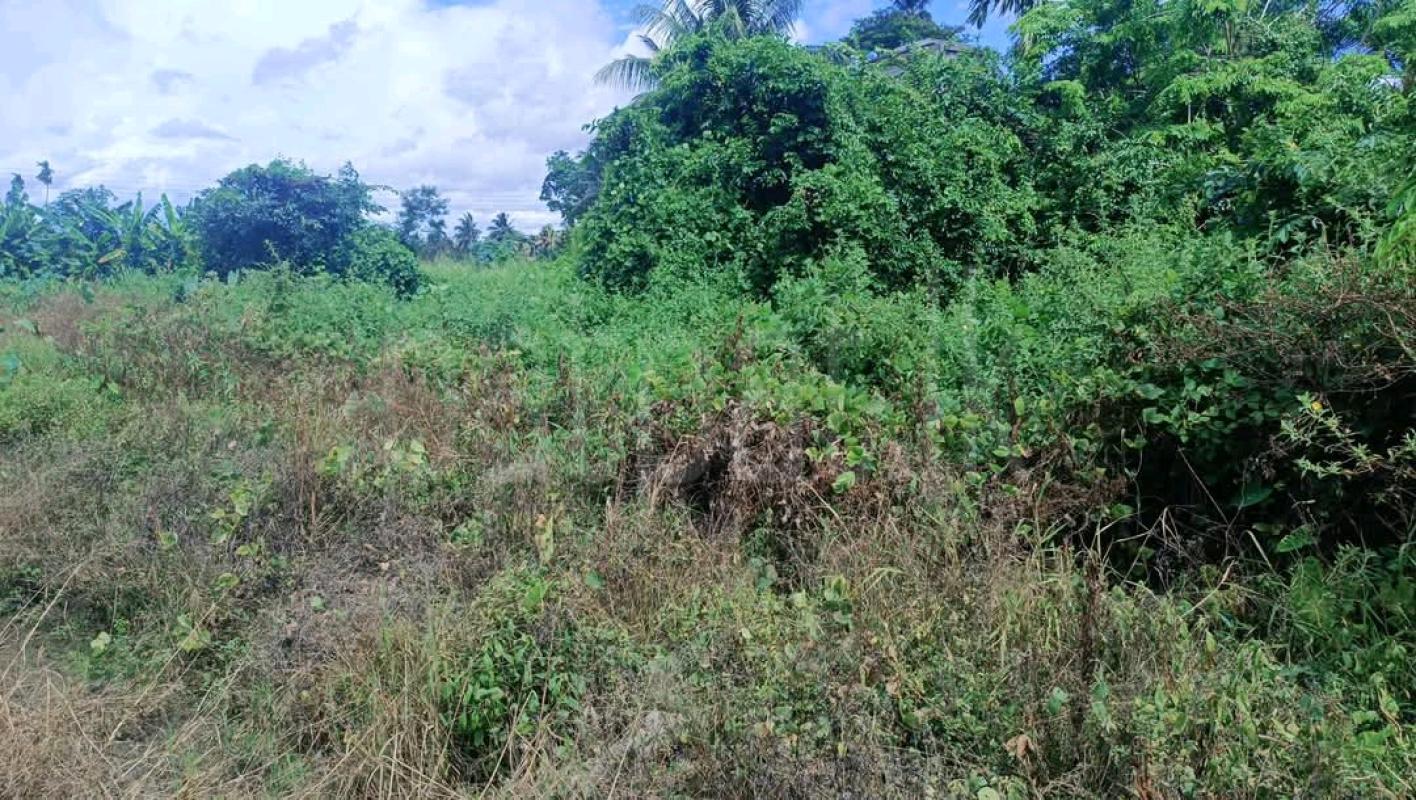 Agricultural Land for Sale in Maho