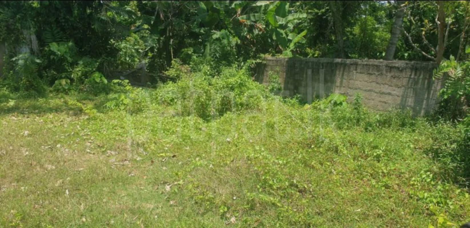 Residential Land for Sale in Panadura ads-image-1