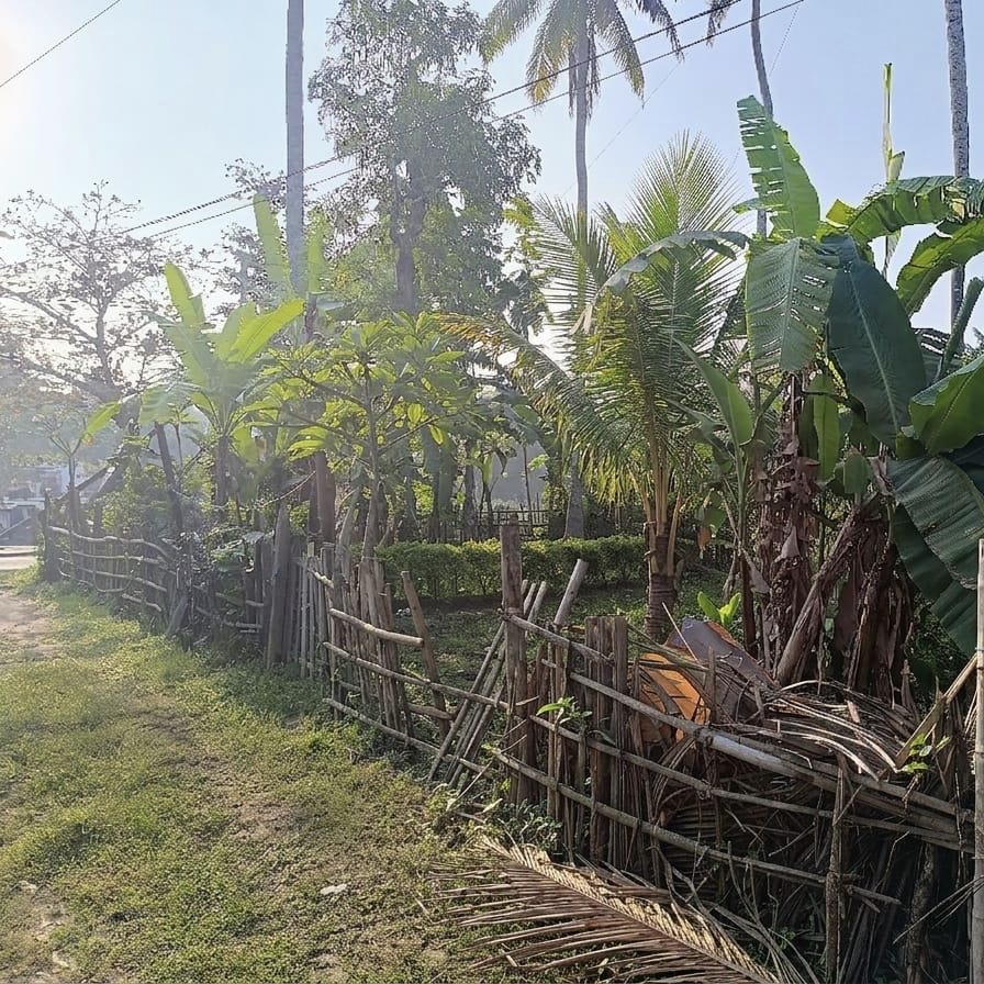 Commercial Land for Sale in Wattala