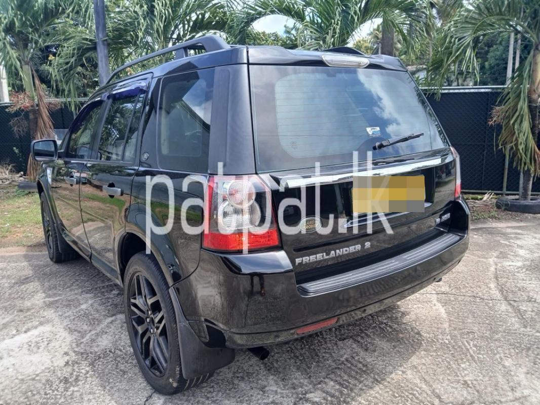 Advertisement image 2