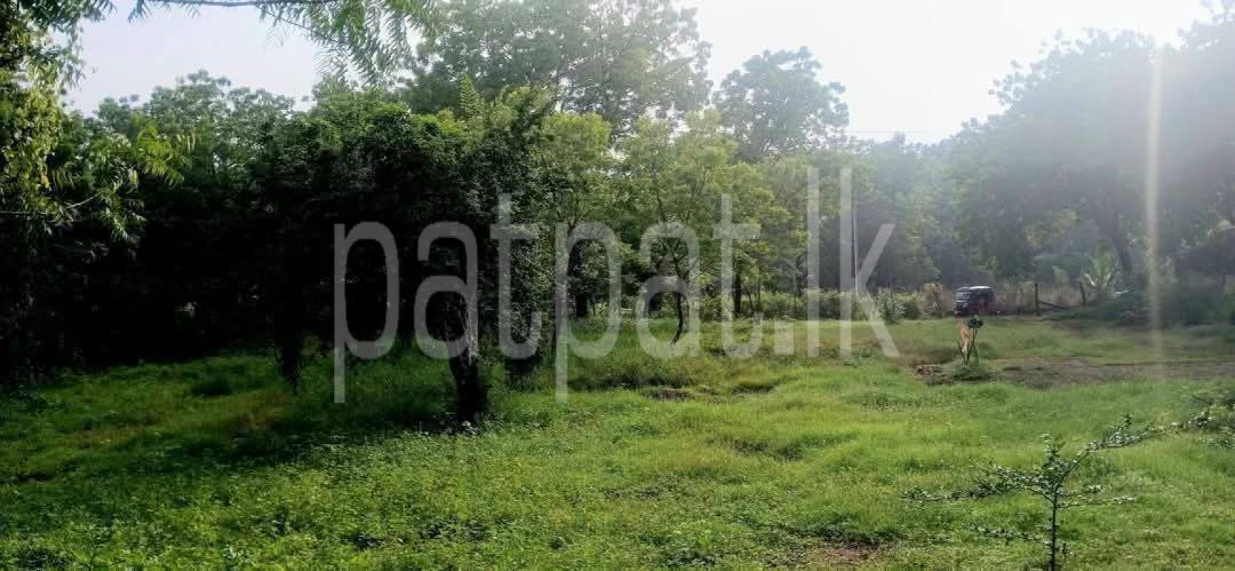 Residential Land for Sale in Kataragama