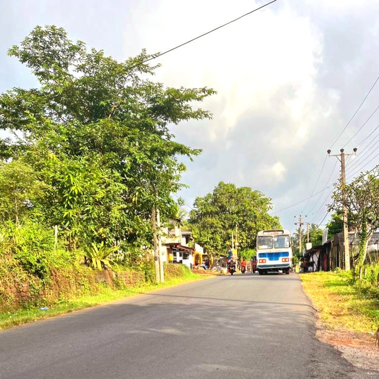 Agricultural Land for Sale in Delgoda