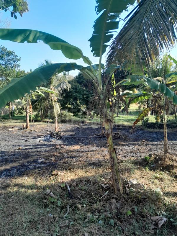 Residential Land for Sale in Bandaragama