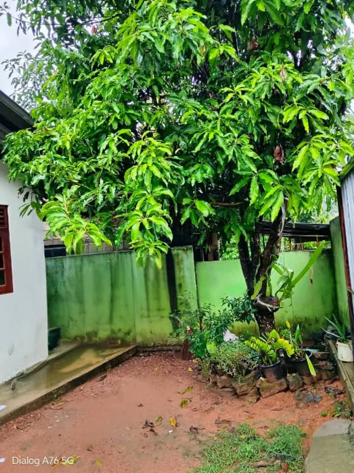 House for Sale in Panadura