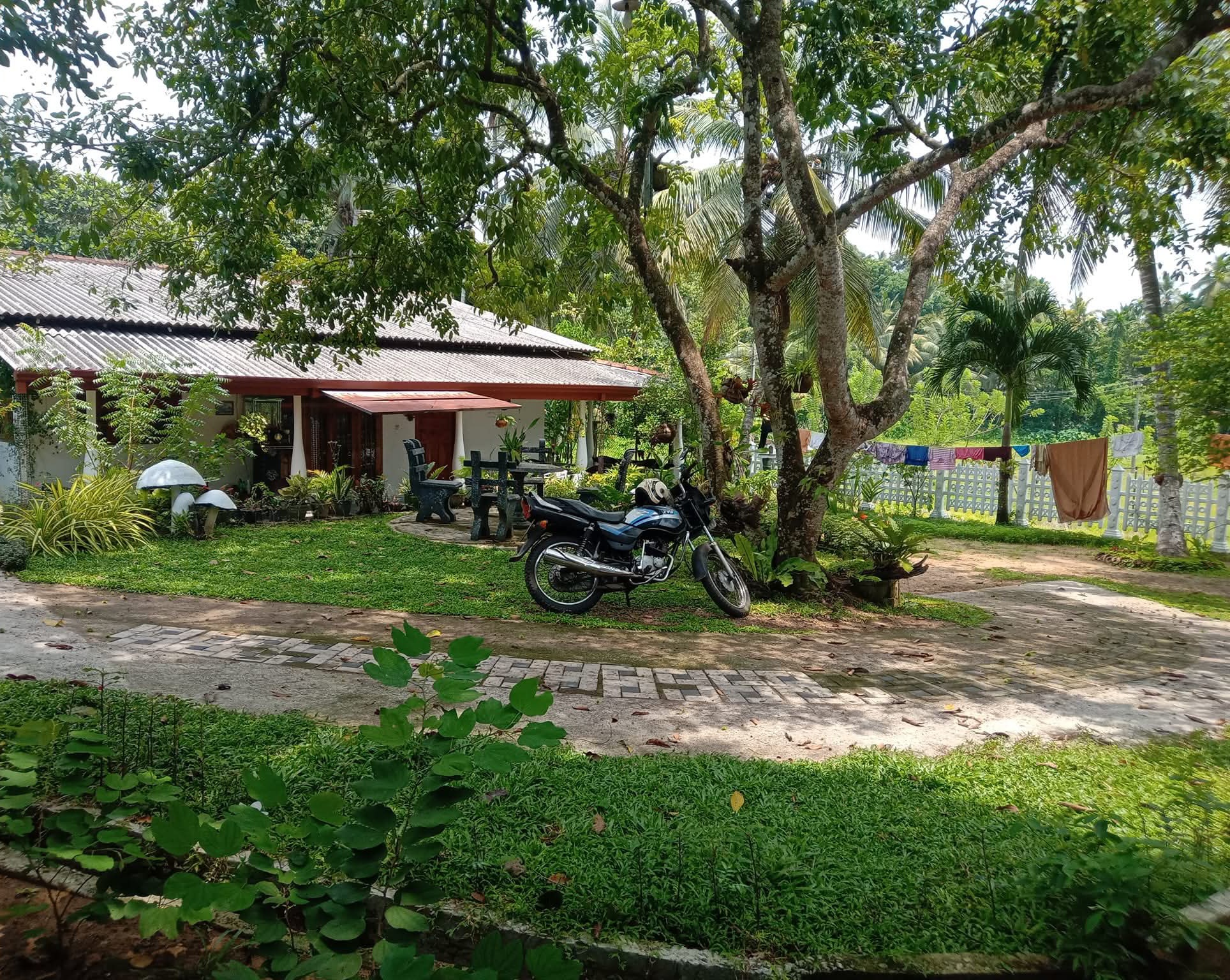 House for Sale in Adampan