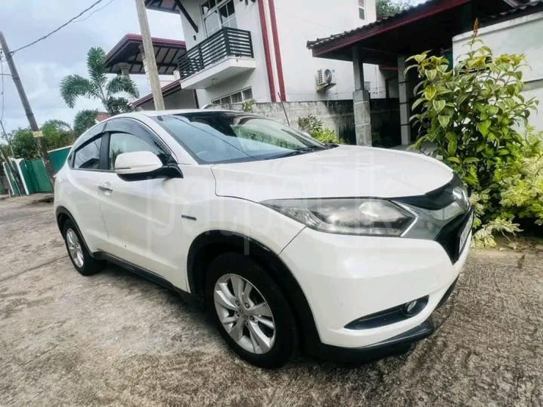 Advertisement image 3