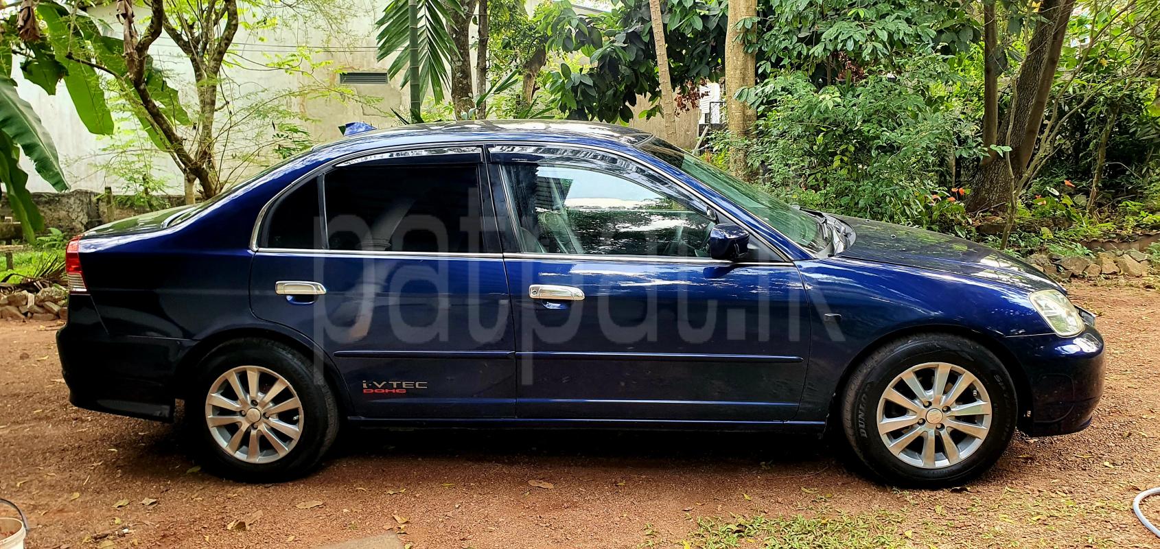 Advertisement image 3