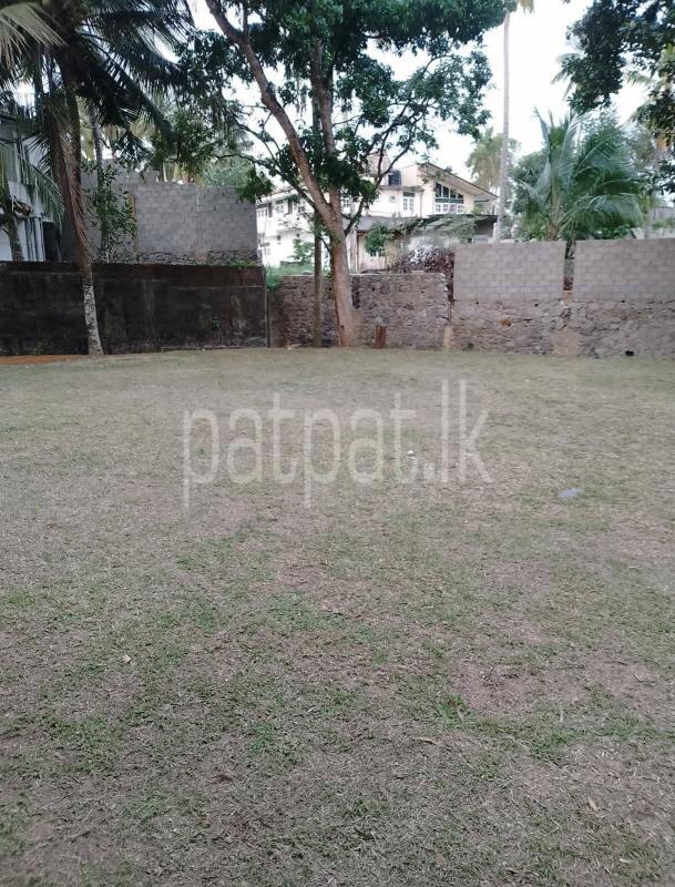 Agricultural Land for Sale in Kottawa