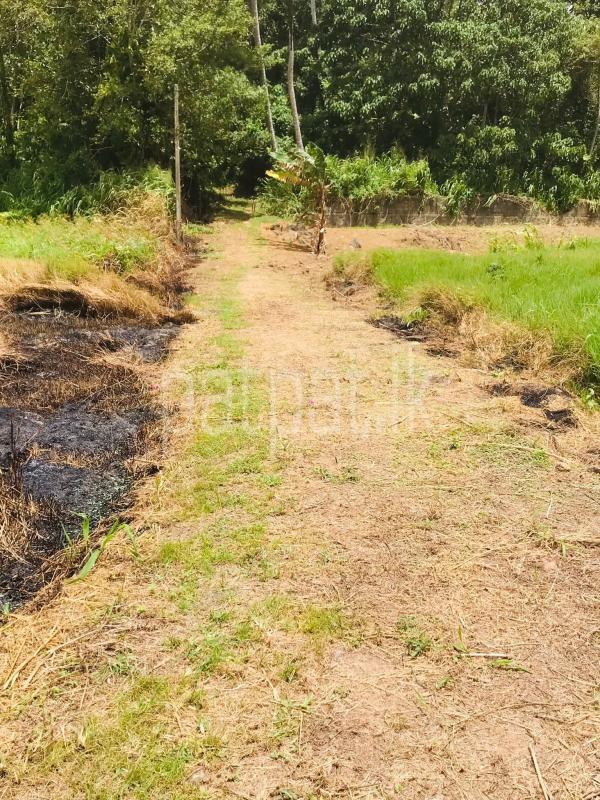 Commercial Land for Sale in Unawatuna
