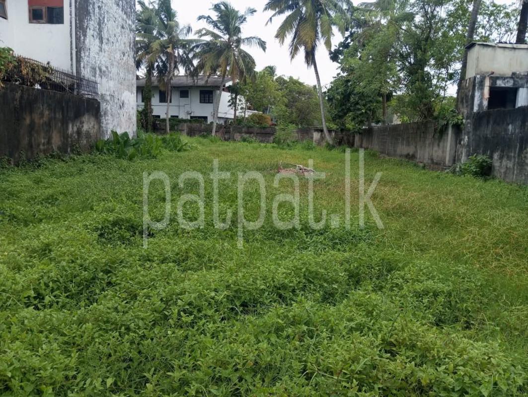 Advertisement image 6