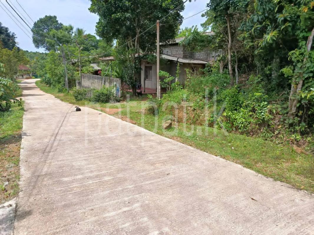 Residential Land for Sale in Gamagoda