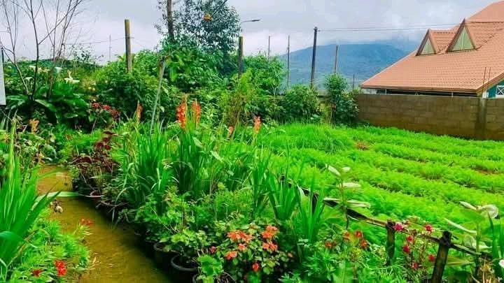 Commercial Land for Sale in Nuwara Eliya