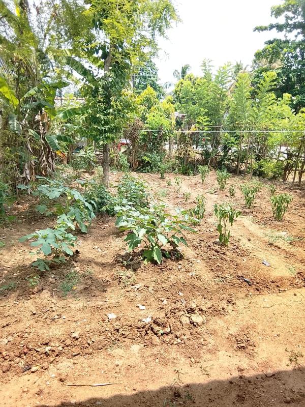 House for Sale in Kurunegala