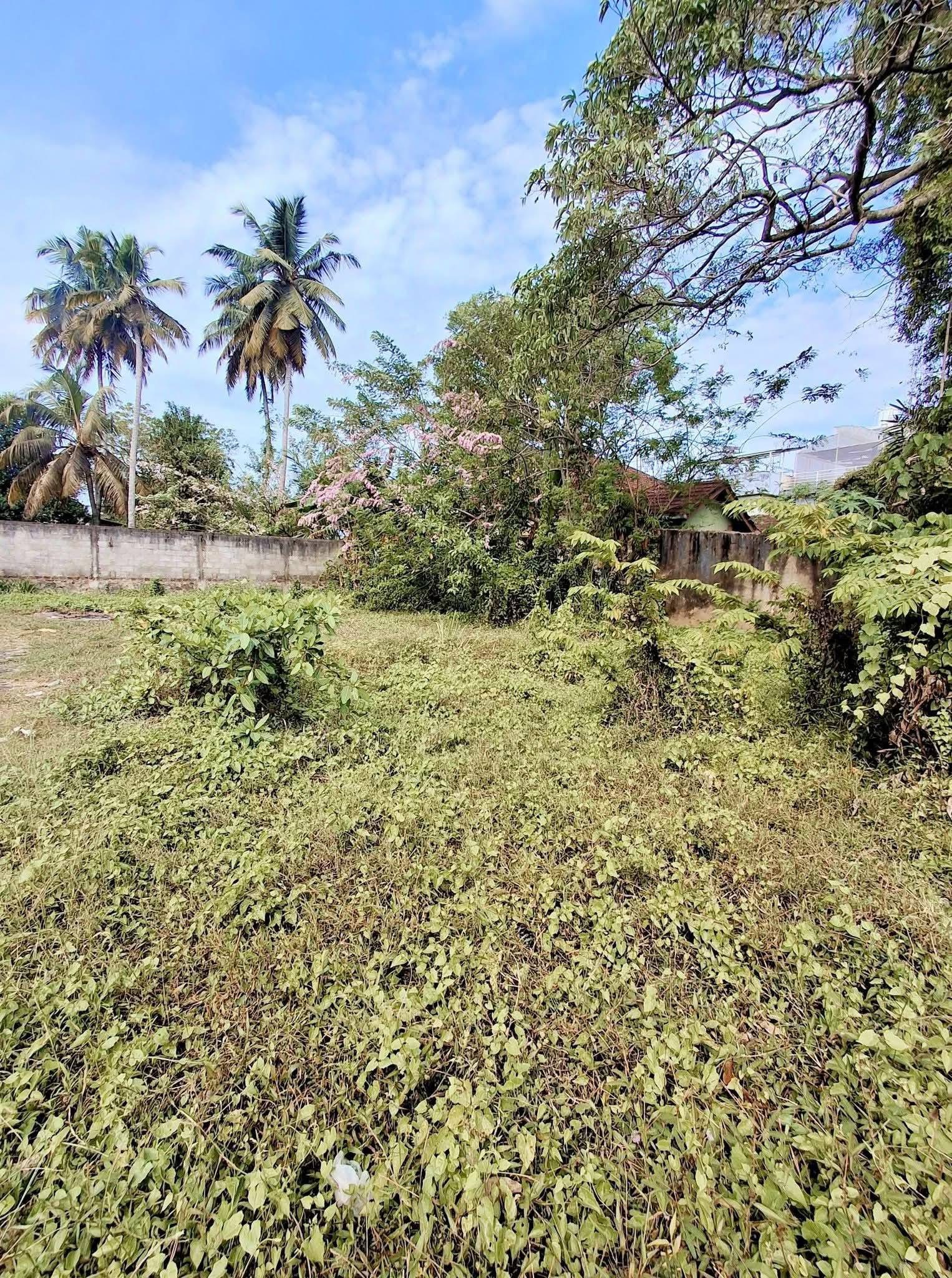 Agricultural Land for Sale in Panadura