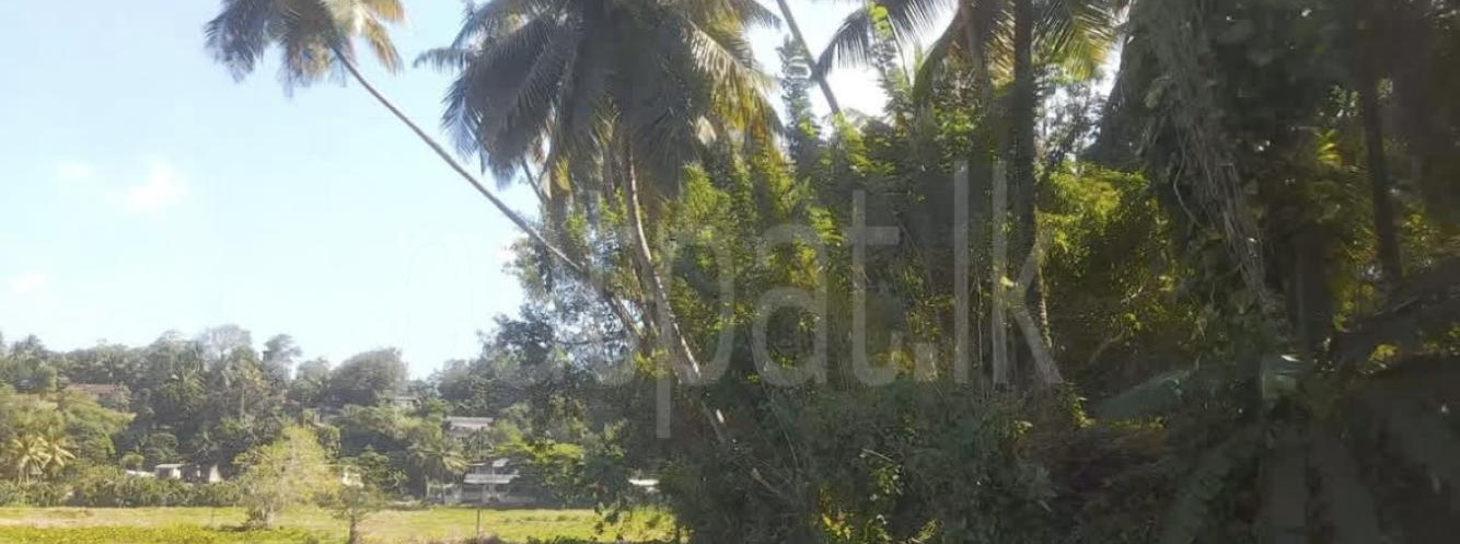 Agricultural Land for Sale in Wanchawela