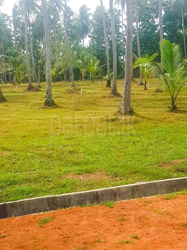 Commercial Land for Sale in Wariyapola