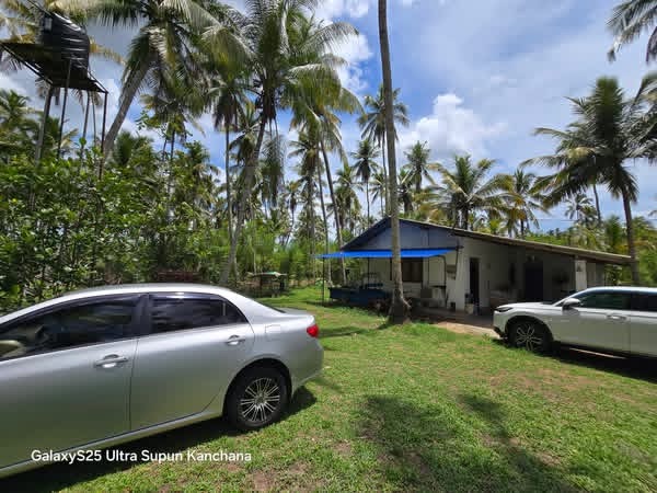 Residential Land for Sale in Divulapitiya