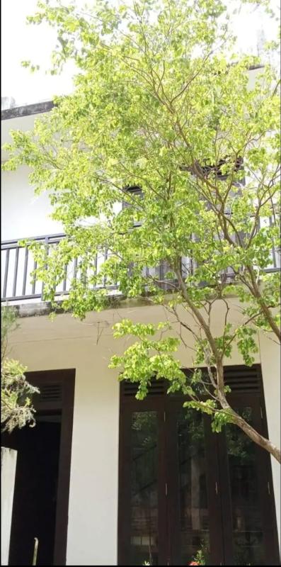 House for Sale in Polgasowita