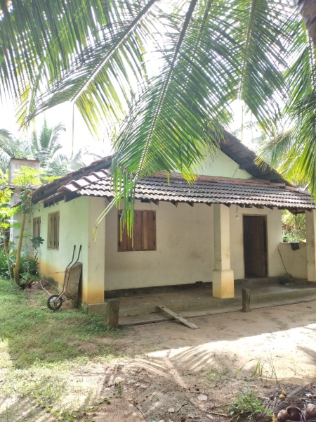 Agricultural Land for Sale in Puttalam