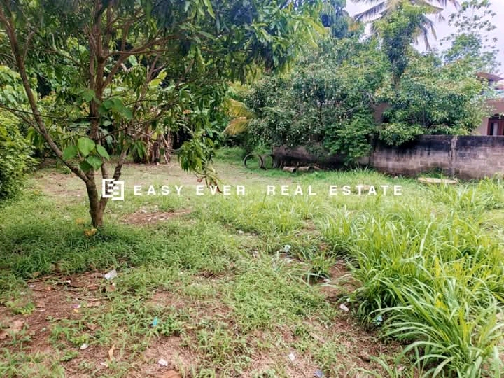Commercial Land for Sale in Kalagedihena
