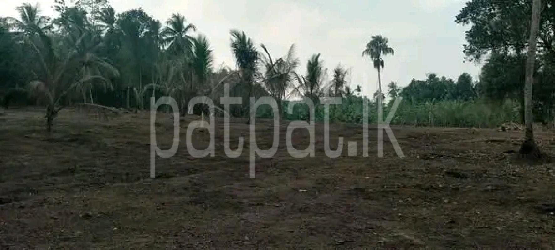 Agricultural Land for Sale in Eppawala