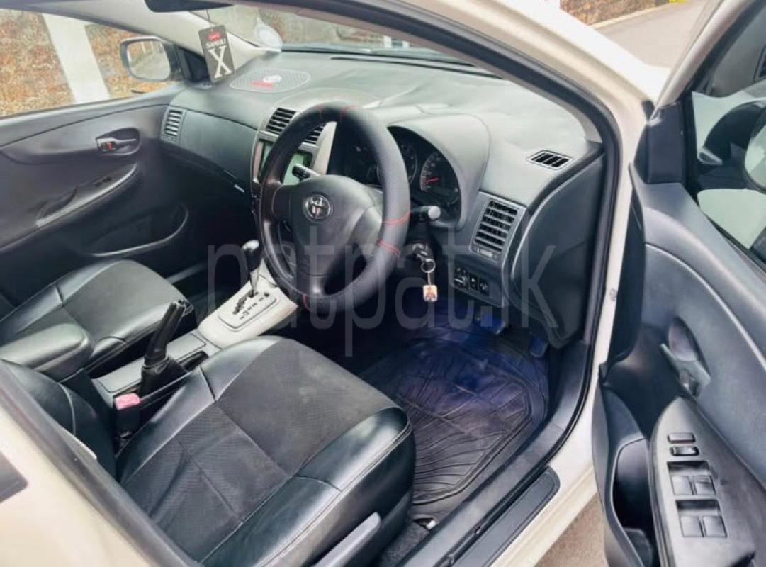 Advertisement image 6