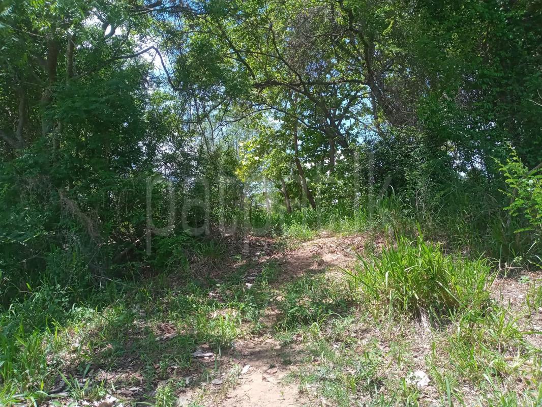 Agricultural Land for Sale in Kurunegala