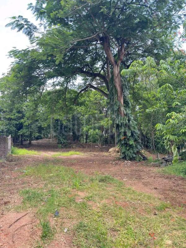 Agricultural Land for Sale in Kurunegala