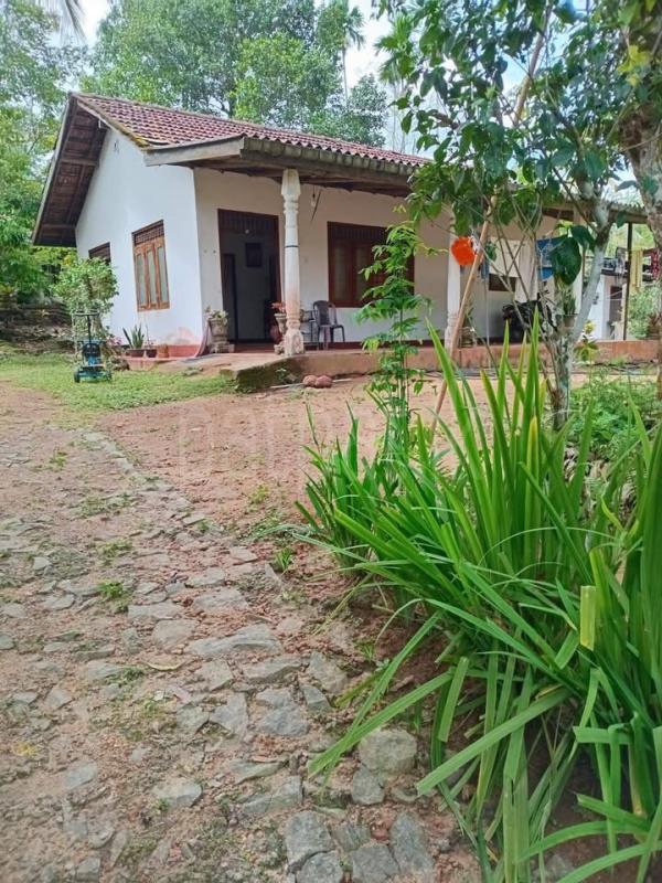 House for Sale in Homagama