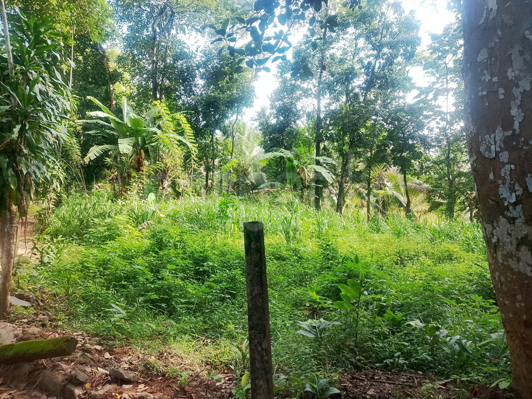 Residential Land for Sale in Padukka