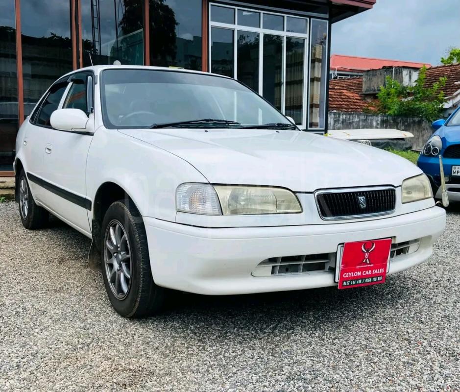 Advertisement image 1