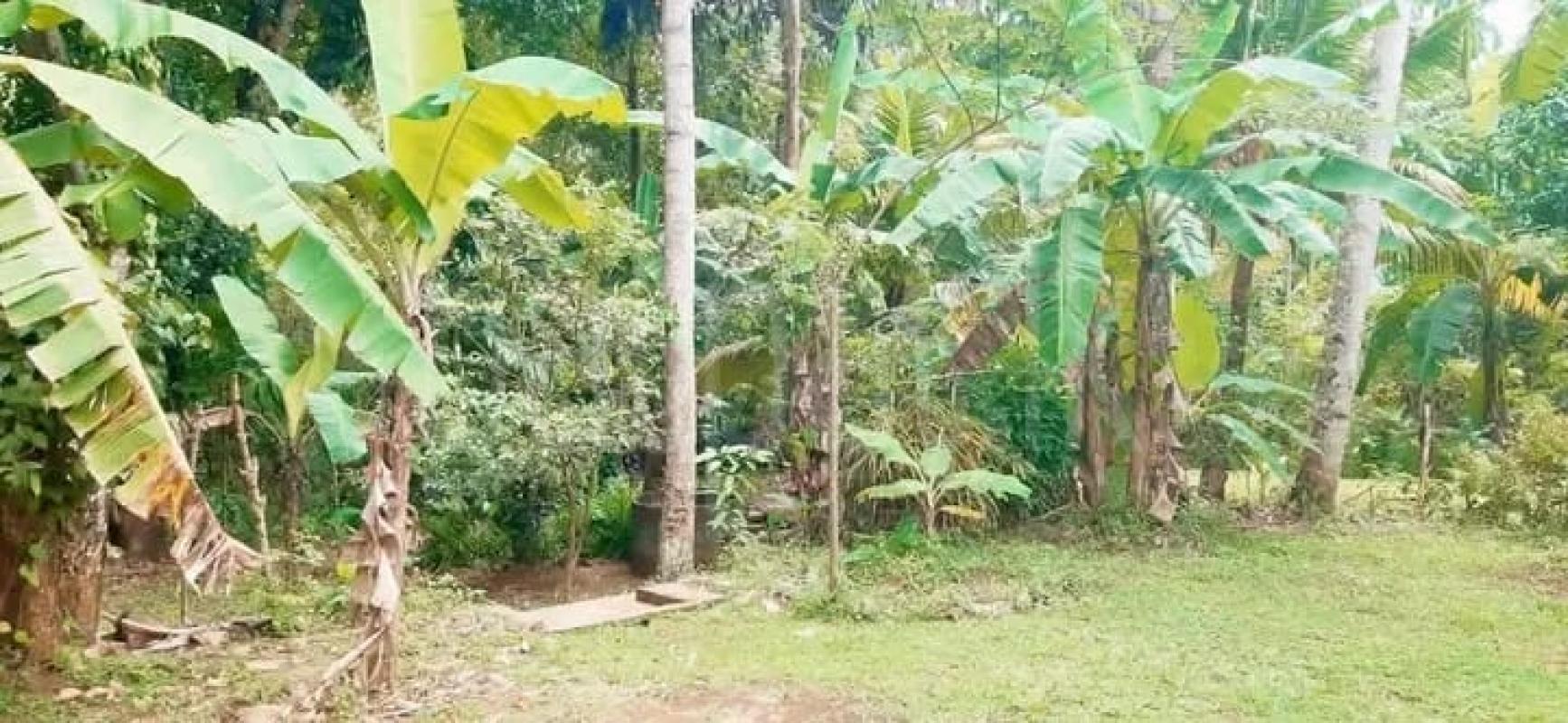 House for Sale in Kurunegala ads-image-1