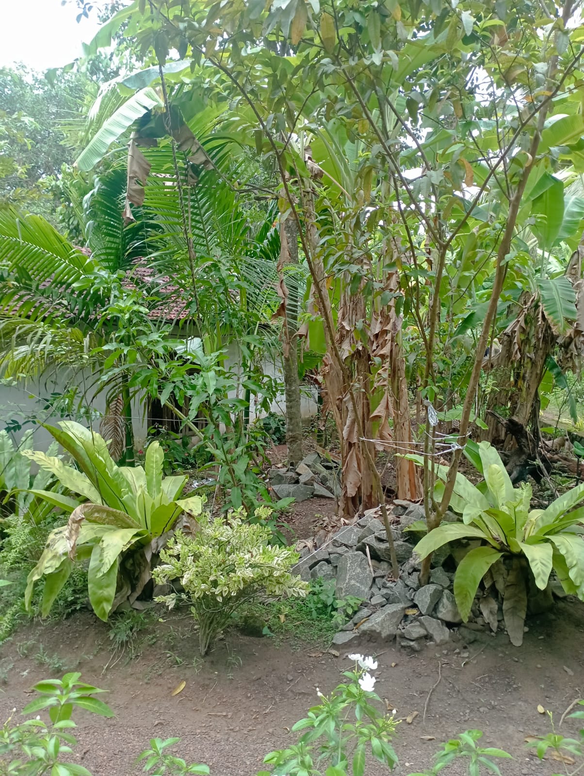House for Sale in Ja-Ela