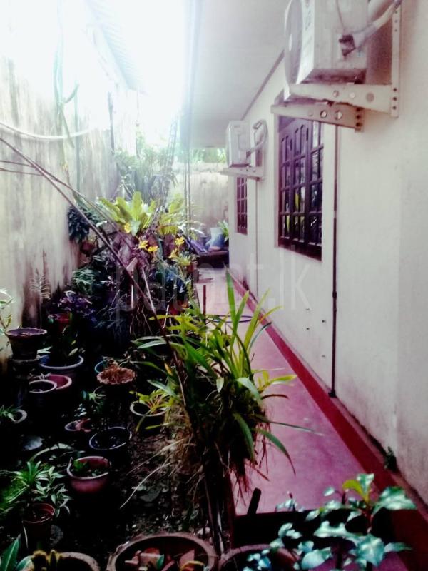 premium-listing-image