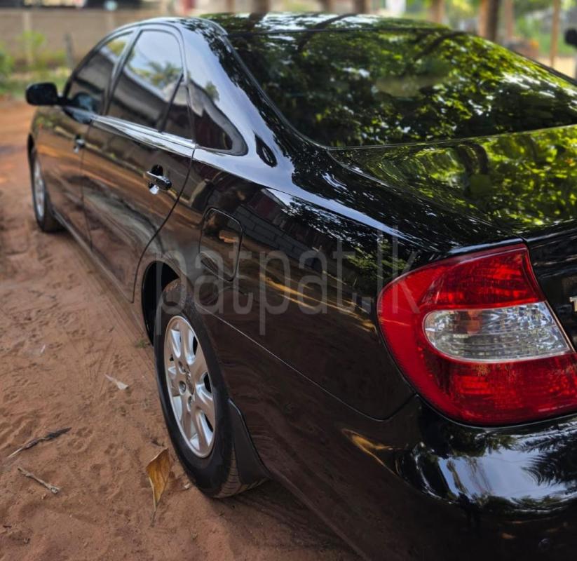 Advertisement image 3