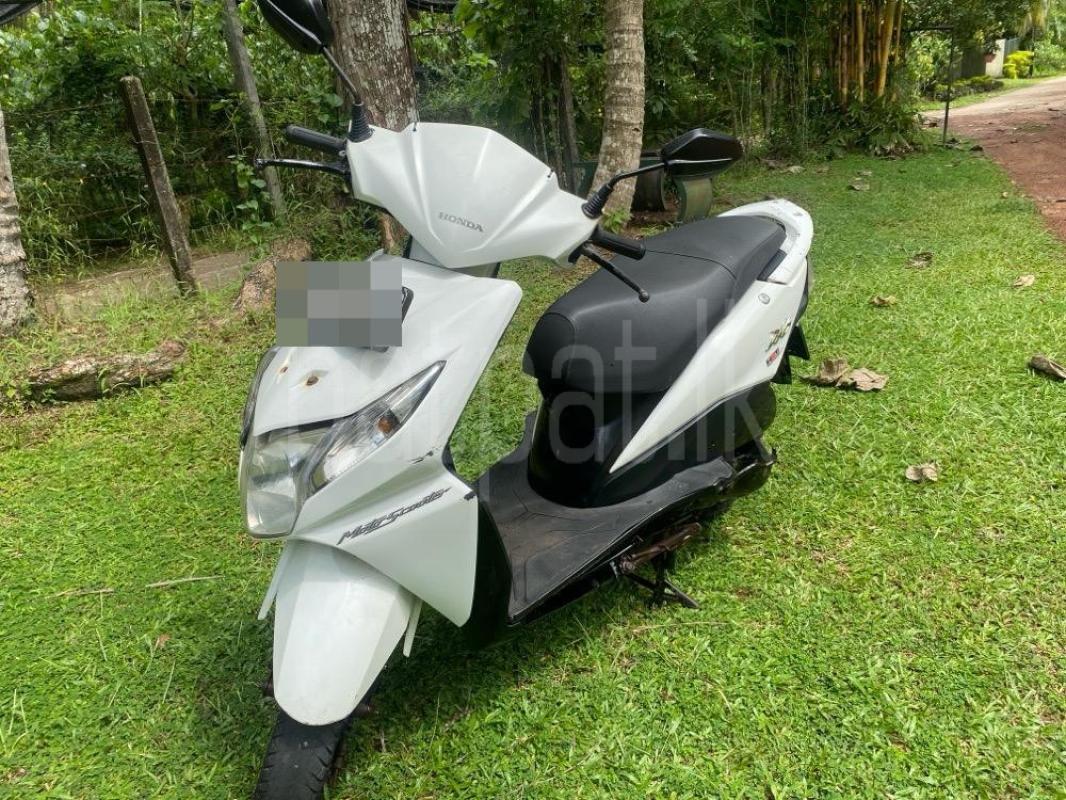 Advertisement image 5