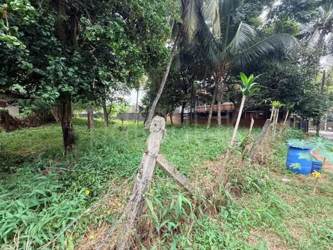 Agricultural Land for Sale in Boralesgamuwa ads-image-1