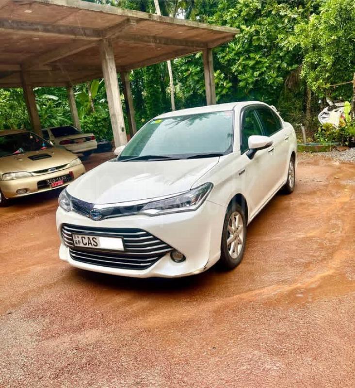 Advertisement image 2