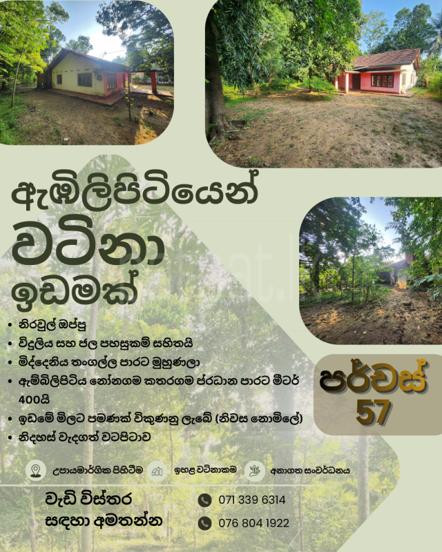 Advertisement image 6