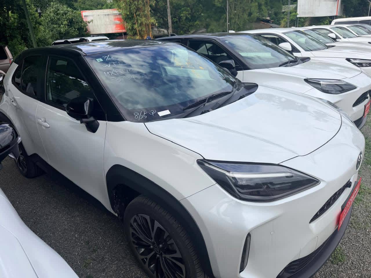 Advertisement image 3