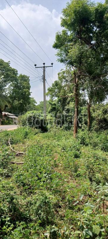 Residential Land for Sale in Kataragama