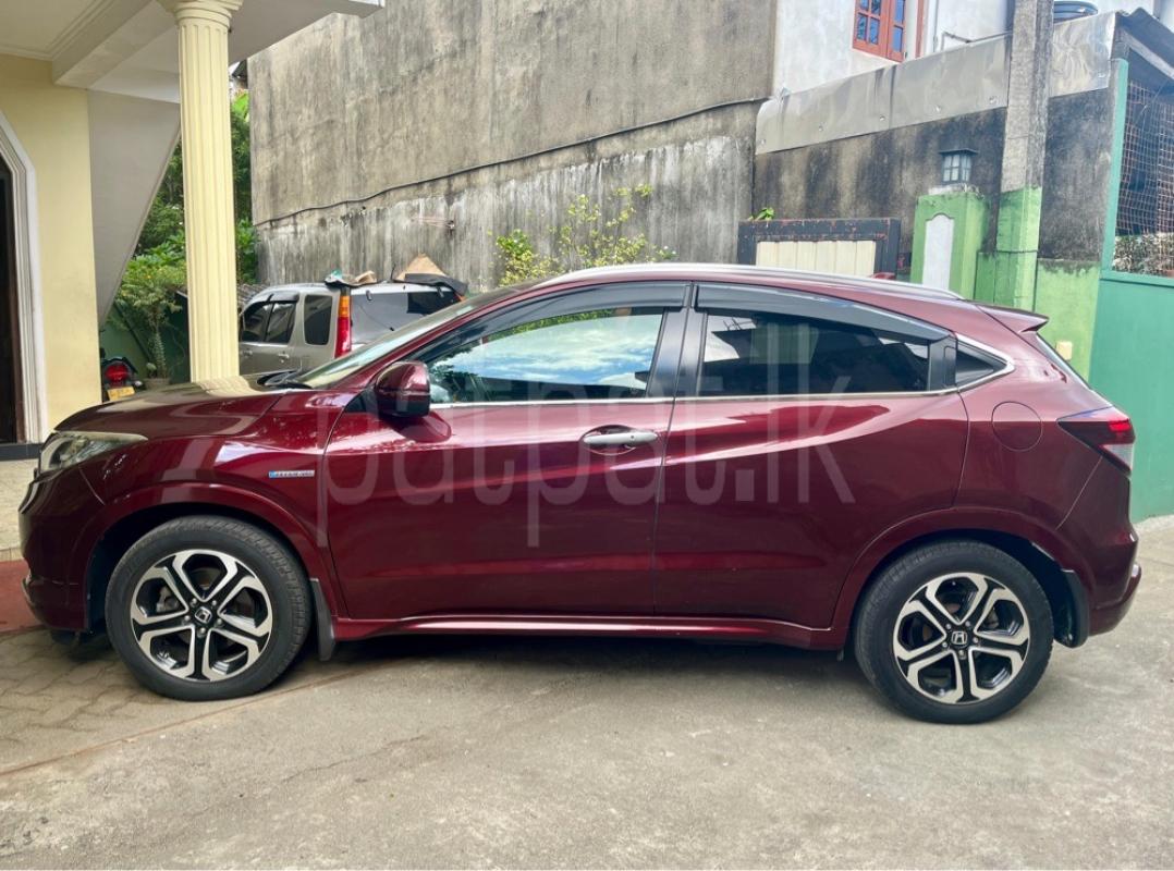 Advertisement image 3