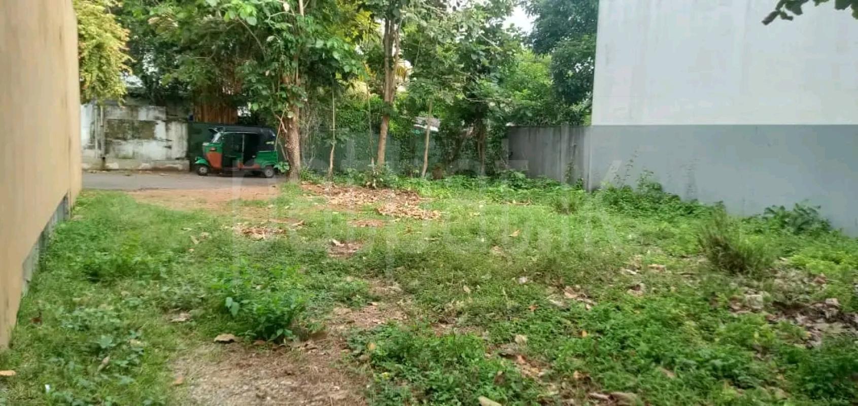 Residential Land for Sale in Ridigama