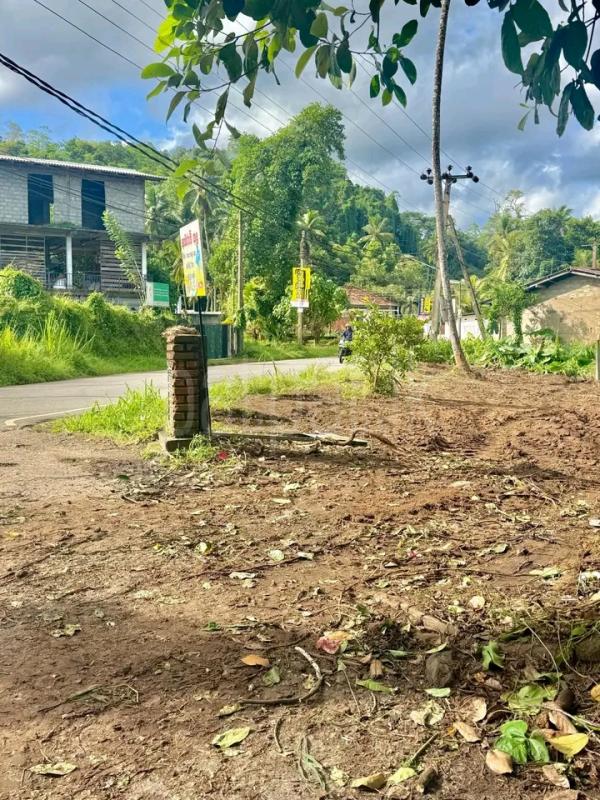 Commercial Land for Sale in Ranala