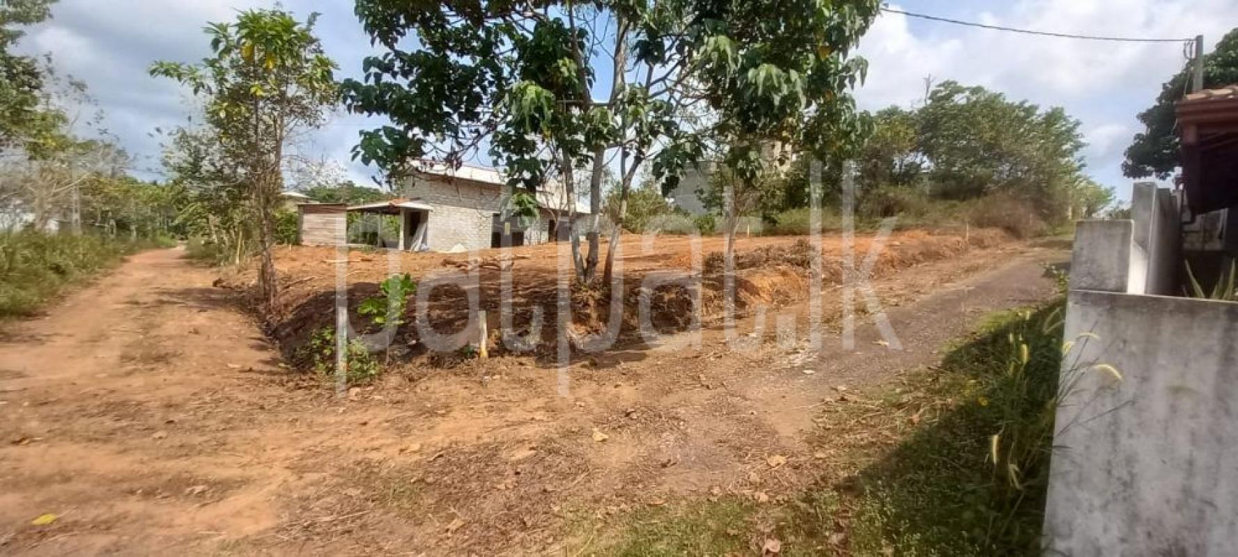 Residential Land for Sale in Kekanadurra